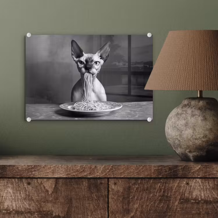 Sphynx - Kat - Dieren - Humor - Spaghetti - Zwart Wit plexiglas 5mm klein -wsfeer2_DE
