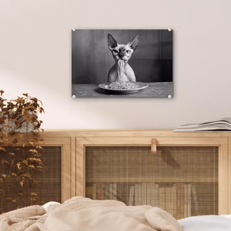 Sphynx - Kat - Dieren - Humor - Spaghetti - Zwart Wit plexiglas 5mm klein -sfeer3