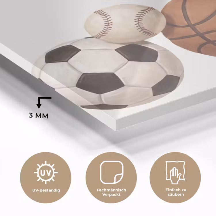Sport - Ballen - Illustratie plexiglas 5mm klein -wsfeer2_DE