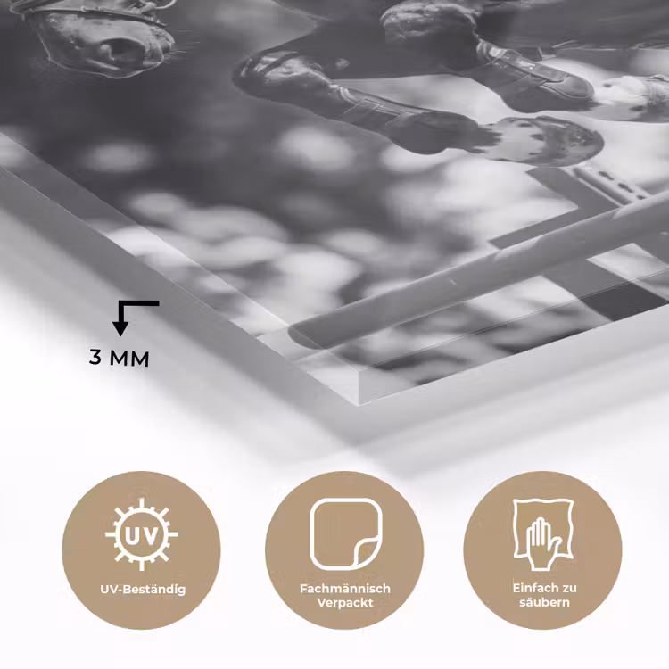 Springen - Paard - Zwart - Wit plexiglas 5mm klein -wsfeer2_DE
