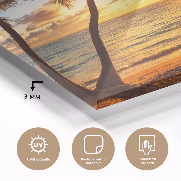 Strand - Horizon - Zonsondergang - Palmboom - Zee plexiglas 5mm klein -wsfeer2_DE