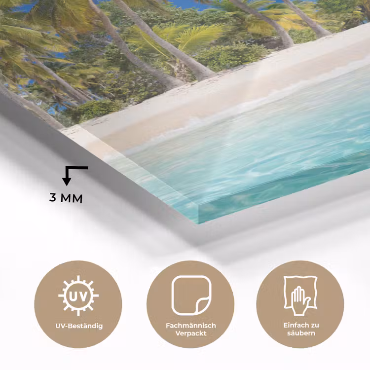 Strand - Zee - Palmboom - Zon - Zomer plexiglas 5mm klein -wsfeer2_DE