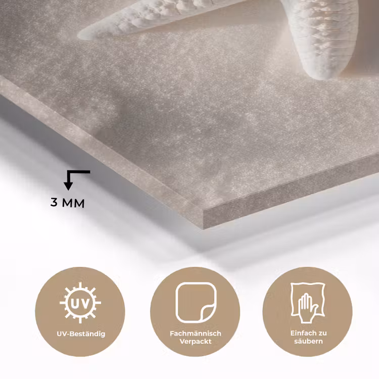 Strand - Zeester - Zand - Beige plexiglas 5mm klein -wsfeer2_DE