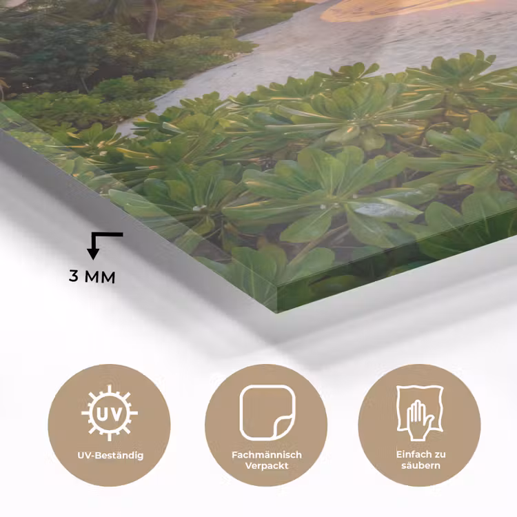 Strand - Zonsondergang - Palmbomen - Tropisch - Natuur plexiglas 5mm klein -wsfeer2_DE
