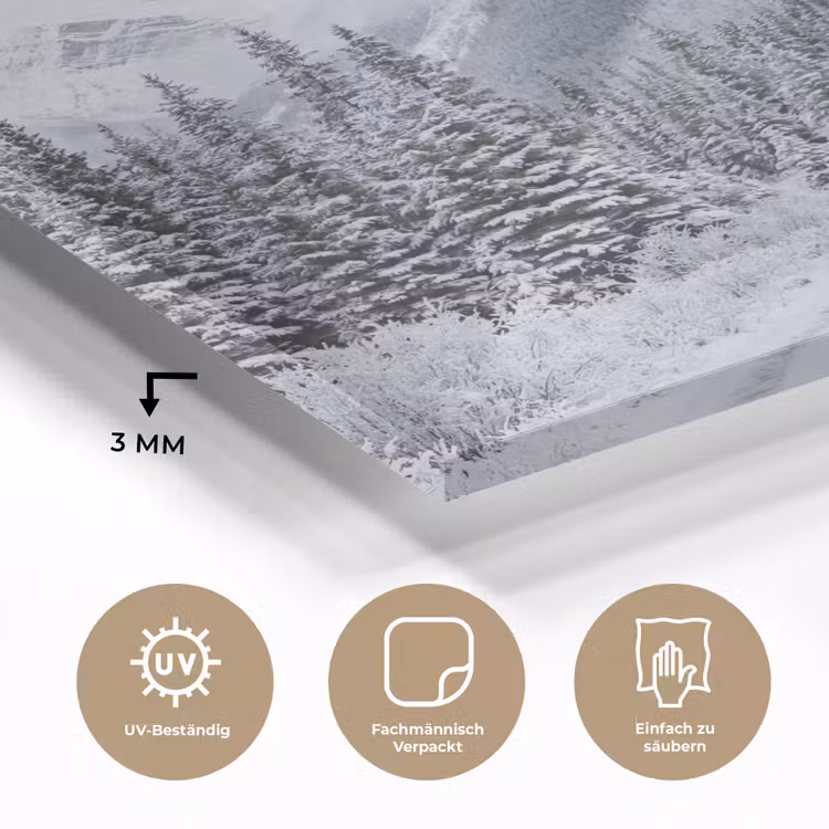 Weg - Bergen - Sneeuw - Naaldbos - Avontuurlijk plexiglas 5mm klein -wsfeer2_DE