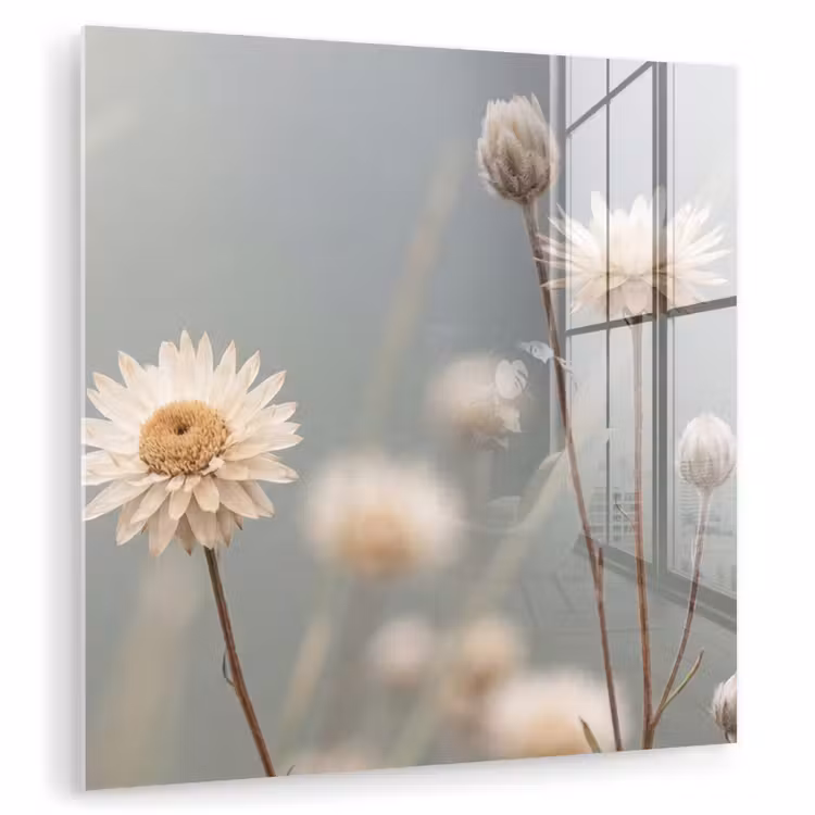 Strobloemen - Wit - Daglicht plexiglas 5mm klein -zzzproduct_nieuw