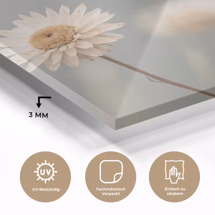 Strobloemen - Wit - Daglicht plexiglas 5mm klein -wsfeer2_DE