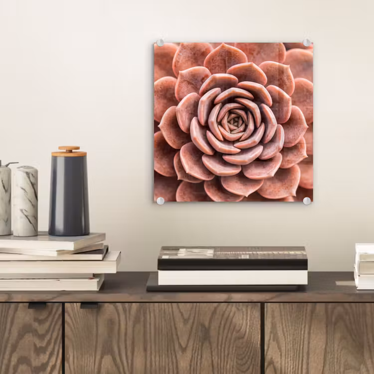 Vetplant - Organisch - Roze plexiglas 5mm klein -sfeer1