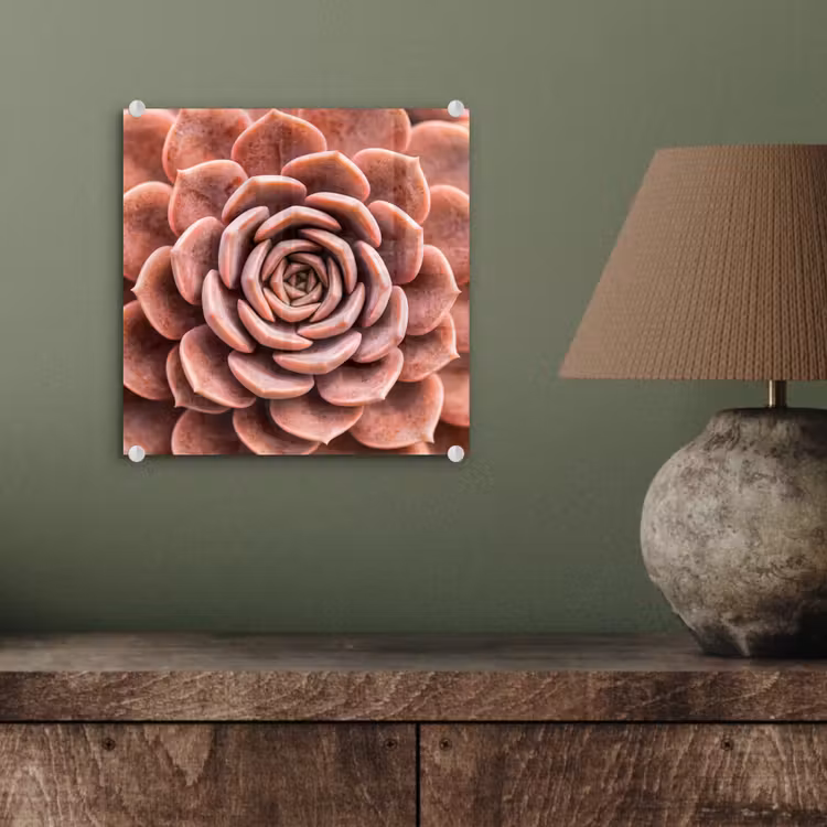 Vetplant - Organisch - Roze plexiglas 5mm klein -sfeer3
