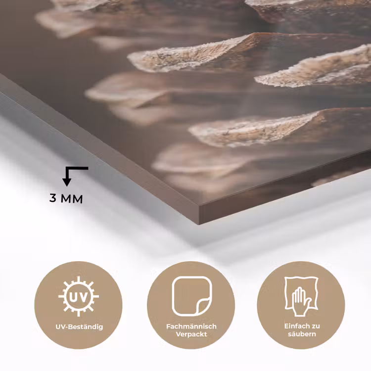 Dennenappel - Bos - Herfst - Bruin - Sfeervol plexiglas 5mm klein -wsfeer2_DE