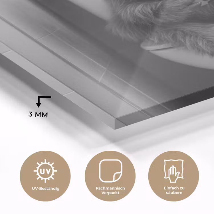 Stier - Telefoon - Toilet - Zwart - Wit plexiglas 5mm klein -wsfeer2_DE
