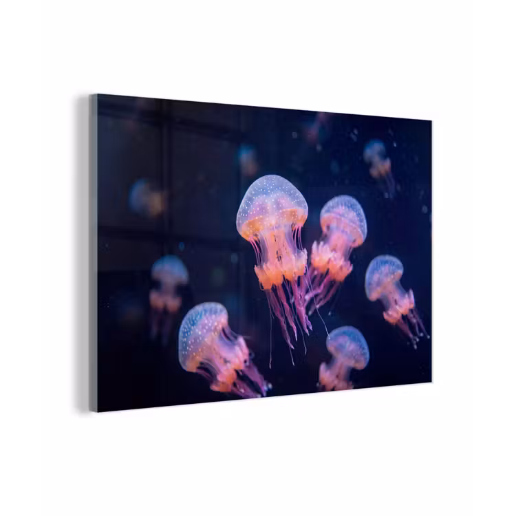 Dier - Onderwater - Natuur - Roze - Mysterieus plexiglas 5mm klein -zzzproduct_nieuw