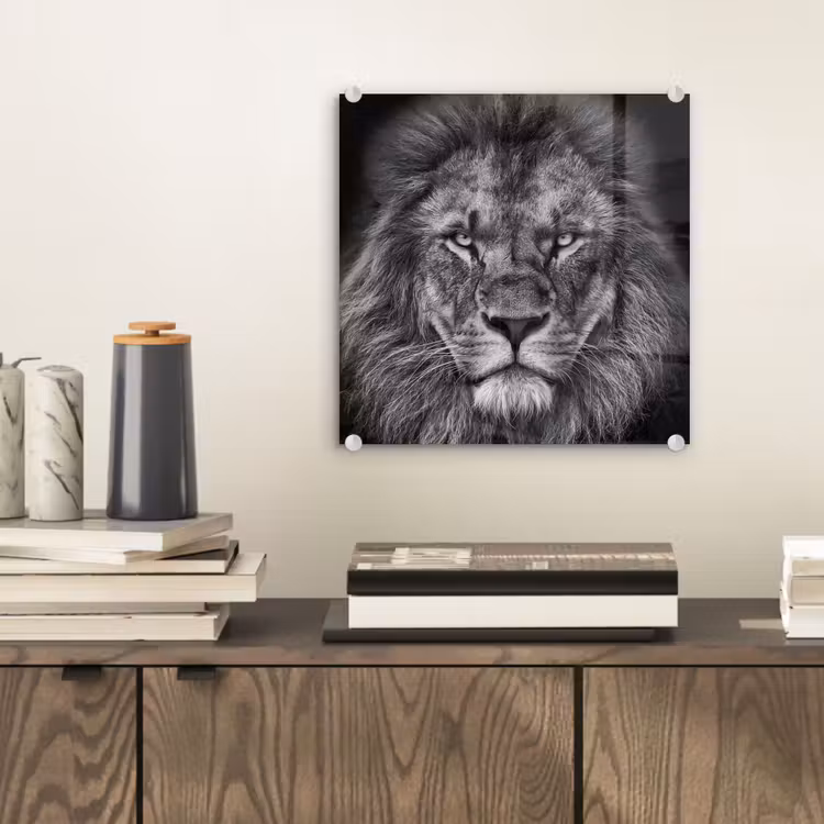 Dieren - Leeuw - Zwart - Wit - Portret plexiglas 5mm klein -sfeer1