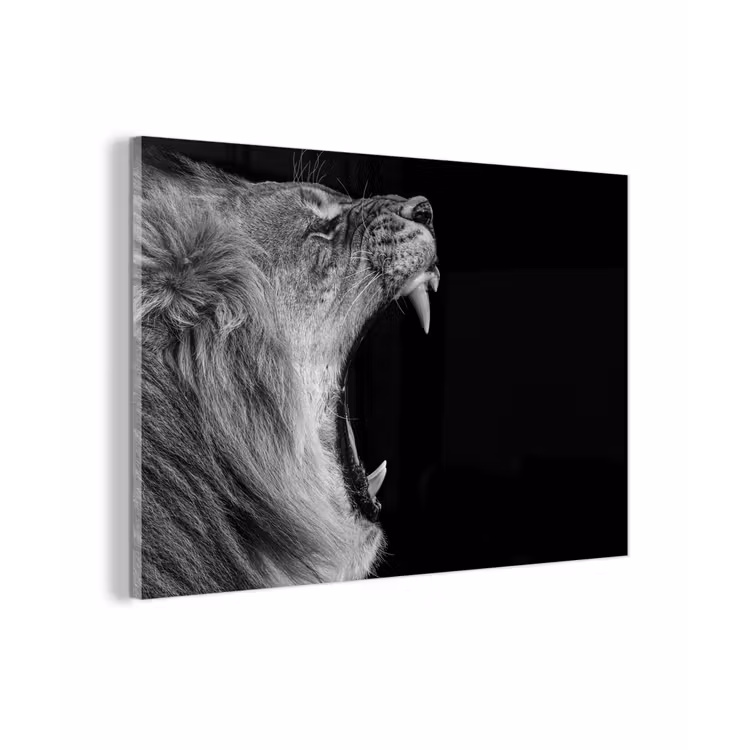 Dieren - Leeuw - Zwart - Wit - Portret plexiglas 5mm klein -zzzproduct_nieuw
