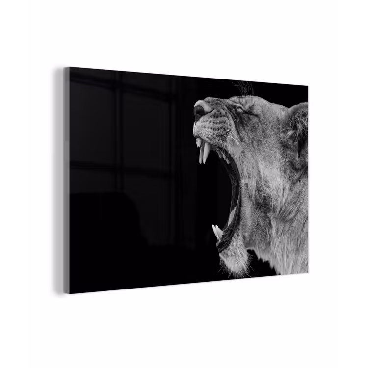 Dieren - Leeuw - Zwart - Wit - Portret plexiglas 5mm klein -zzzproduct_nieuw