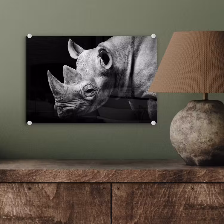 Dieren - Neushoorn - Zwart - Wit - Portret plexiglas 5mm klein -wsfeer2_DE