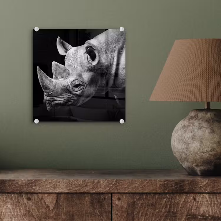 Dieren - Neushoorn - Zwart - Wit - Portret plexiglas 5mm klein -sfeer3