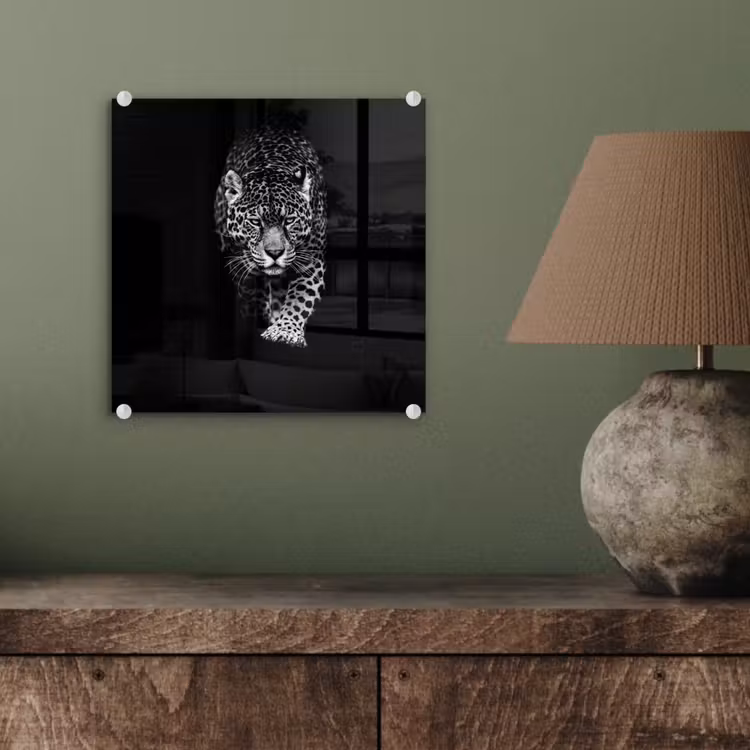 Dieren - Zwart - Luipaard - Wit - Wild plexiglas 5mm klein -sfeer3