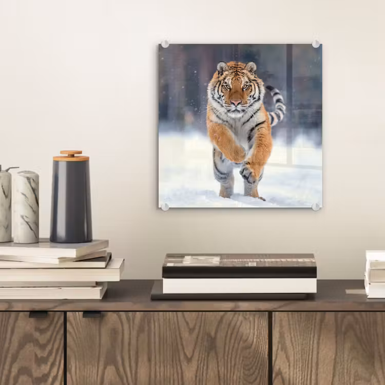 Tijger - Landschap - Sneeuw - Winter - Dieren plexiglas 5mm klein -sfeer1
