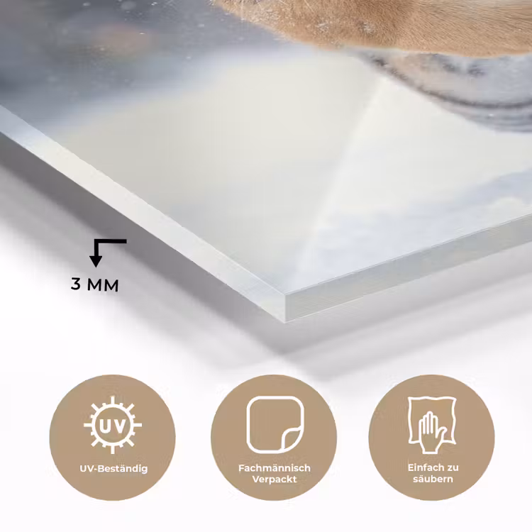 Tijger - Landschap - Sneeuw - Winter - Dieren plexiglas 5mm klein -wsfeer2_DE