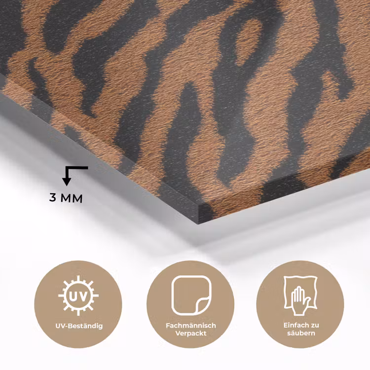 Tijger - Zwart - Vacht plexiglas 5mm klein 11 -wsfeer2_DE