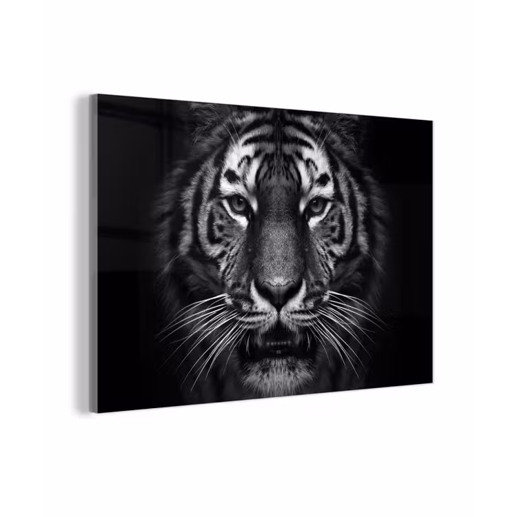 Tijger - Dieren - Zwart - Wit - Portret - Wild plexiglas 5mm klein -zzzproduct_nieuw