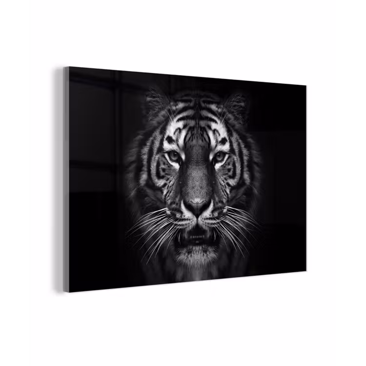 Tijger - Dieren - Zwart - Wit - Portret - Wild plexiglas 5mm klein -sfeer1