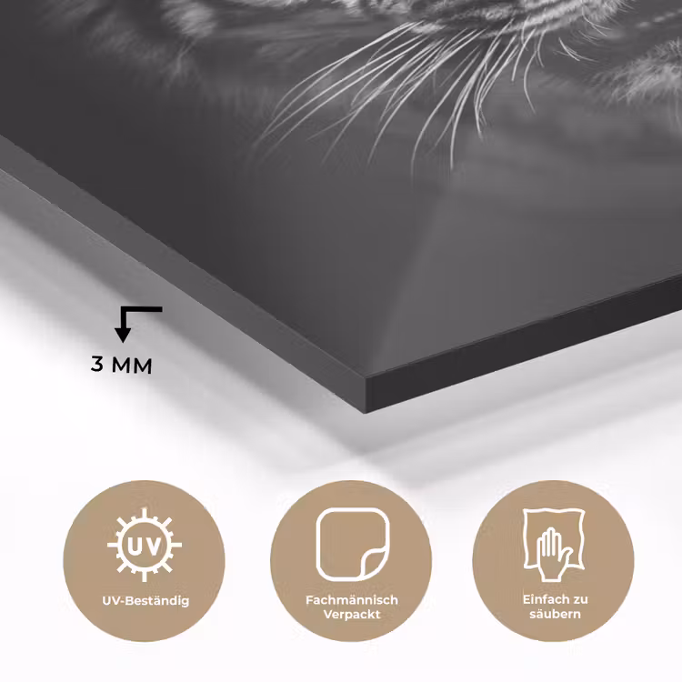 Tijger - Dieren - Zwart - Wit - Portret - Wild plexiglas 5mm klein -wsfeer2_DE