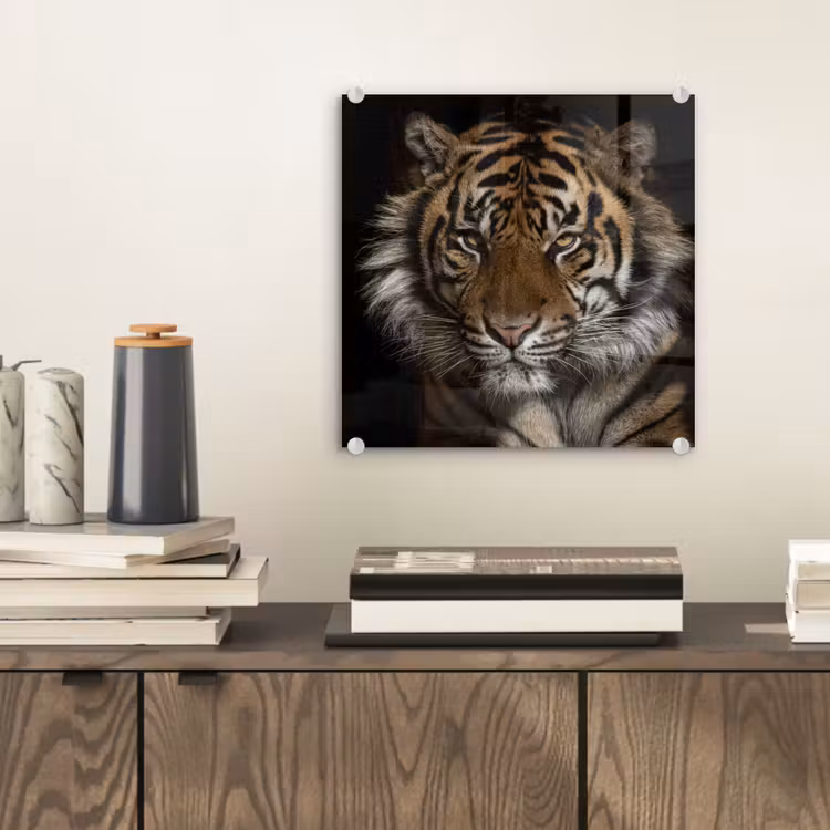 Tijger - Wilde dieren - Portret plexiglas 5mm klein -sfeer1