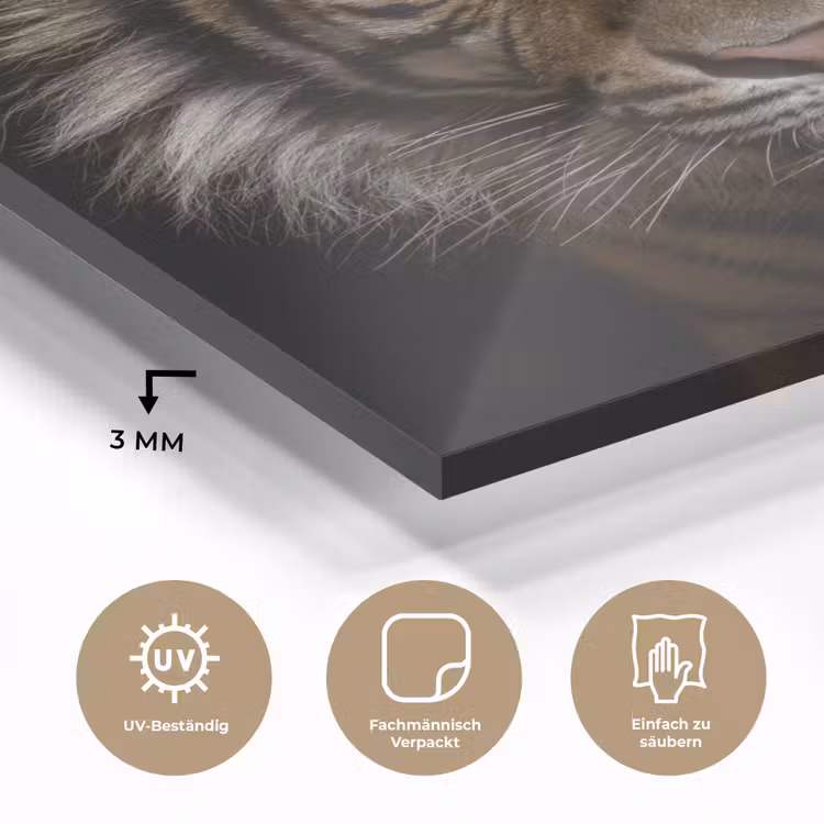 Tijger - Wilde dieren - Portret plexiglas 5mm klein -wsfeer2_DE