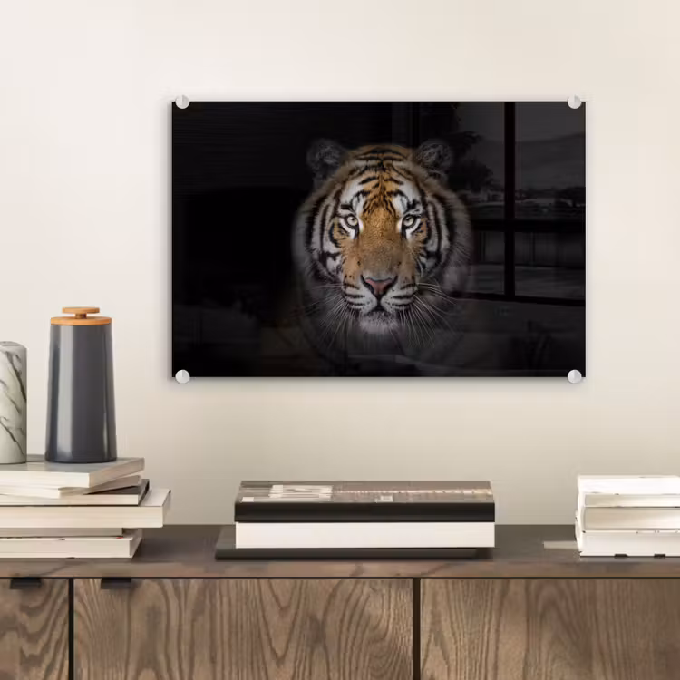 Tijger - Wilde dieren - Portret - Zwart - Dieren plexiglas 5mm klein -sfeer1