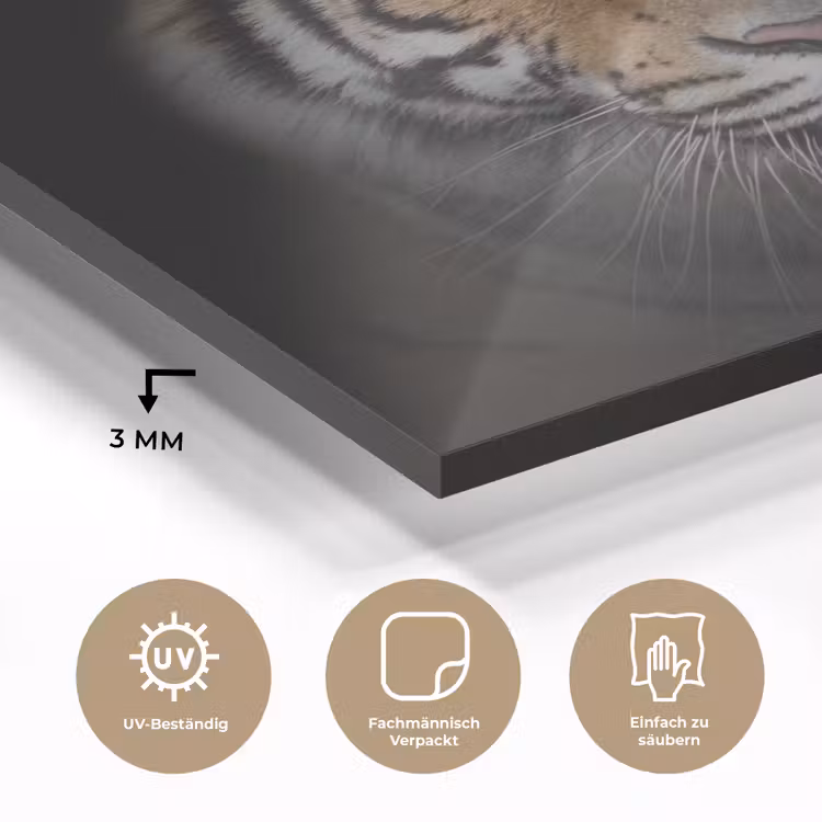 Tijger - Wilde dieren - Portret - Zwart - Dieren plexiglas 5mm klein -wsfeer2_DE