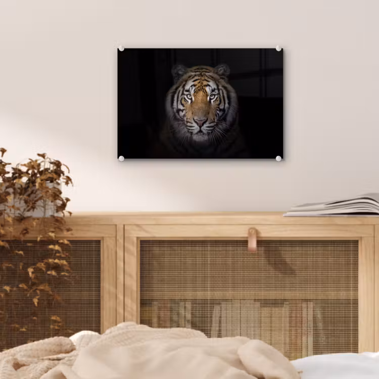 Tijger - Wilde dieren - Portret - Zwart - Dieren plexiglas 5mm klein -sfeer3