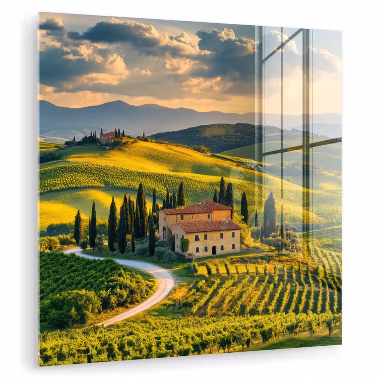 Toscane - Landschap - Wijngaarden plexiglas 5mm klein -zzzproduct_nieuw