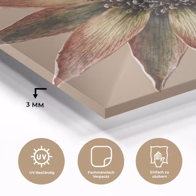 Droogbloem - Protea - Vintage - Beige - Rustiek plexiglas 5mm klein -wsfeer2_DE