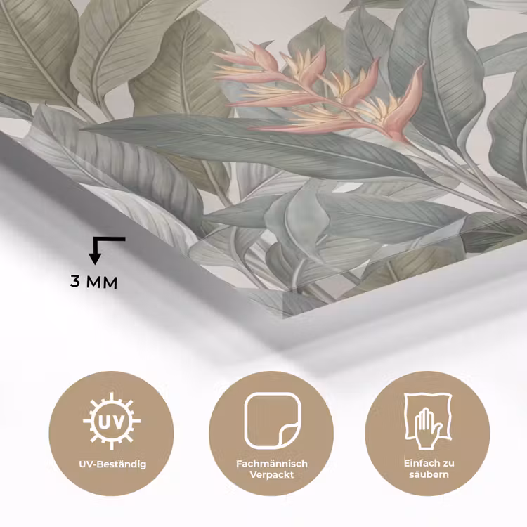 Tropisch - Planten - Modern - Groen plexiglas 5mm klein -wsfeer2_DE