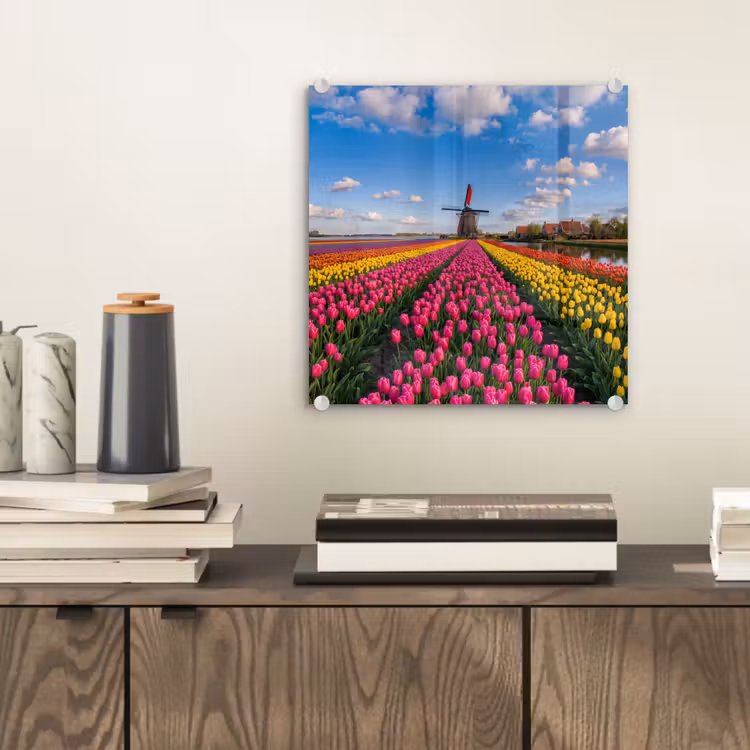 Tulpen - Holland - Molen - Kleurrijk plexiglas 5mm klein -sfeer1