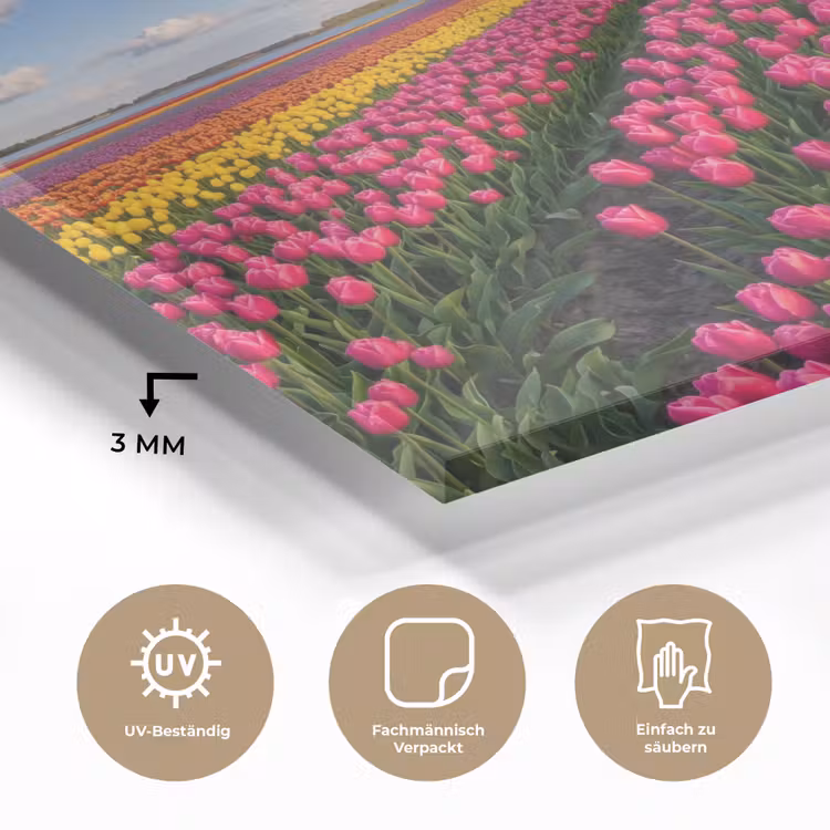 Tulpen - Holland - Molen - Kleurrijk plexiglas 5mm klein -wsfeer2_DE