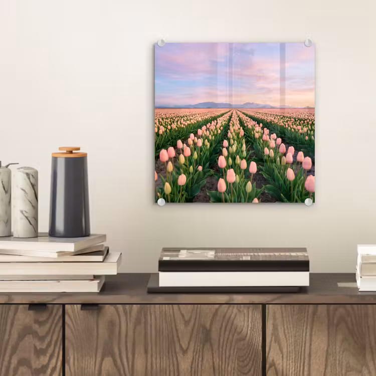 Tulpen - Landschap - Roze plexiglas 5mm klein -sfeer1