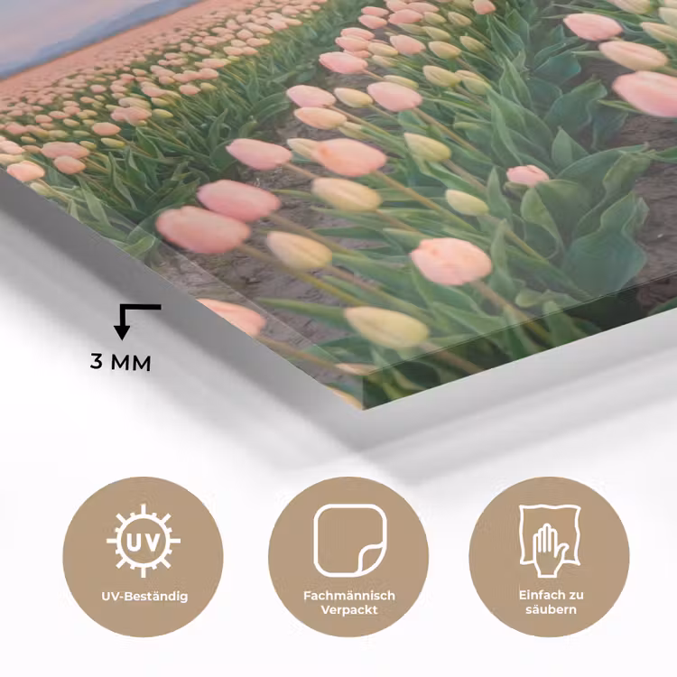 Tulpen - Landschap - Roze plexiglas 5mm klein -wsfeer2_DE