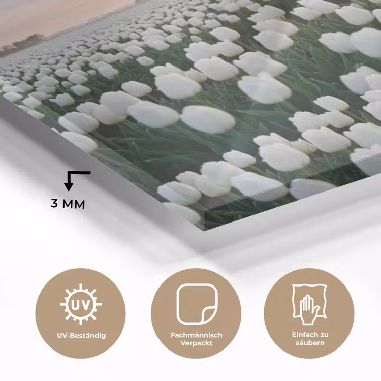 Tulpen - Landschap - Wit plexiglas 5mm klein -wsfeer2_DE