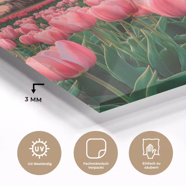 Tulpen - Molen - Nederland plexiglas 5mm klein -wsfeer2_DE