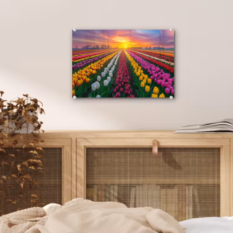 Tulpenveld - Zonsondergang - Kleurrijk plexiglas 5mm klein -sfeer3