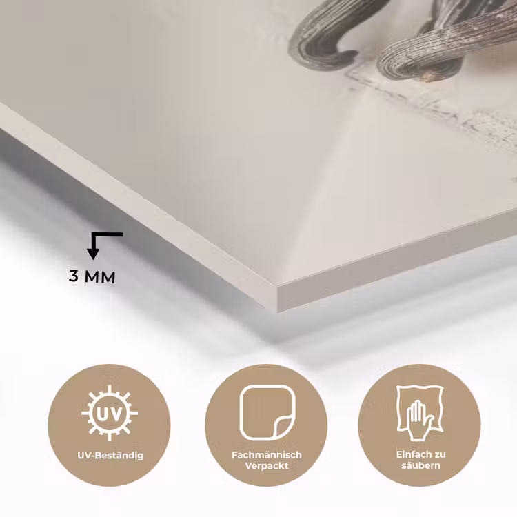 Vanille - Bloemen - Beige plexiglas 5mm klein -wsfeer2_DE