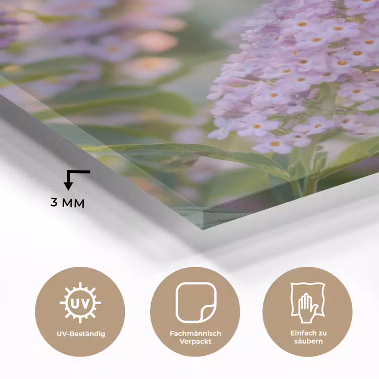 Sierlijke - Vlinder - Paarse - Bloemen plexiglas 5mm klein -wsfeer2_DE