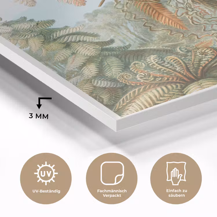 Vintage - Oude meesters - Varens - Planten - Natuur plexiglas 5mm klein -wsfeer2_DE