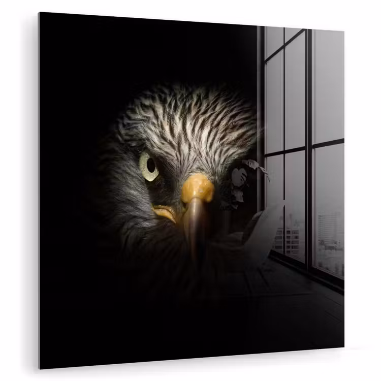 Vogel - Adelaar - Roofvogels - Oog - Snavel - Licht plexiglas 5mm klein -zzzproduct_nieuw