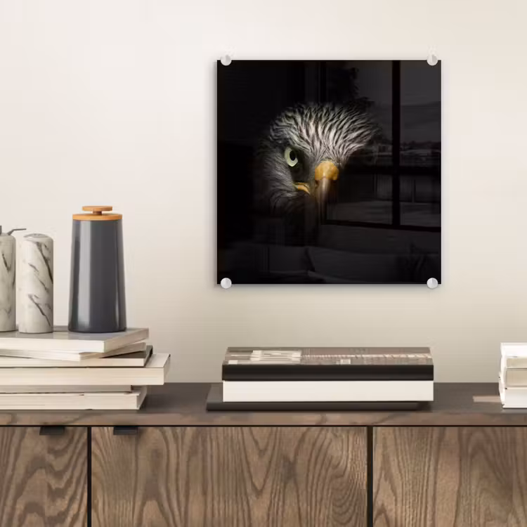 Vogel - Adelaar - Roofvogels - Oog - Snavel - Licht plexiglas 5mm klein -sfeer1