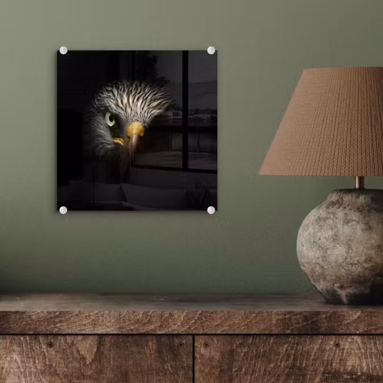 Vogel - Adelaar - Roofvogels - Oog - Snavel - Licht plexiglas 5mm klein -sfeer3