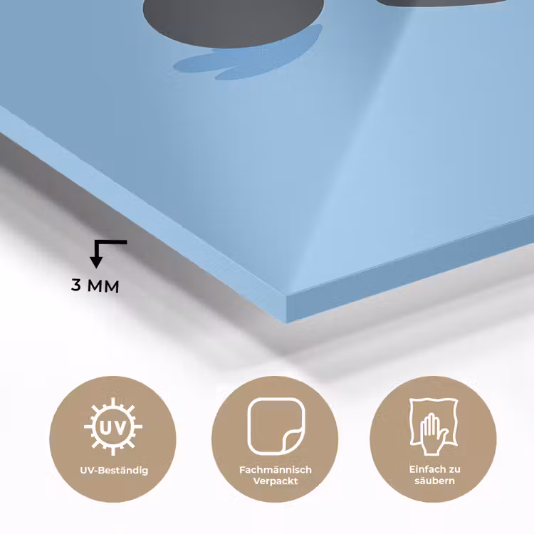 Vogel - Blauw - Eenvoudig plexiglas 5mm klein -wsfeer2_DE